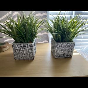 Faux Plants